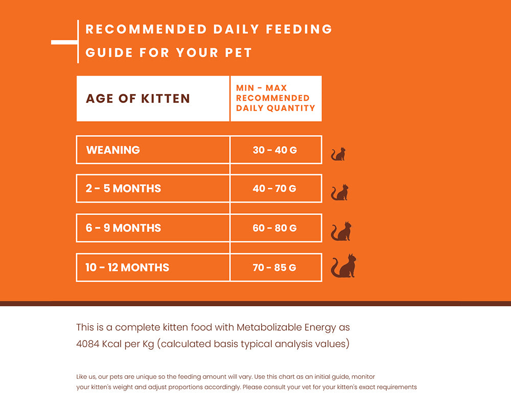 Pet feeding chart for kittens on an orange background