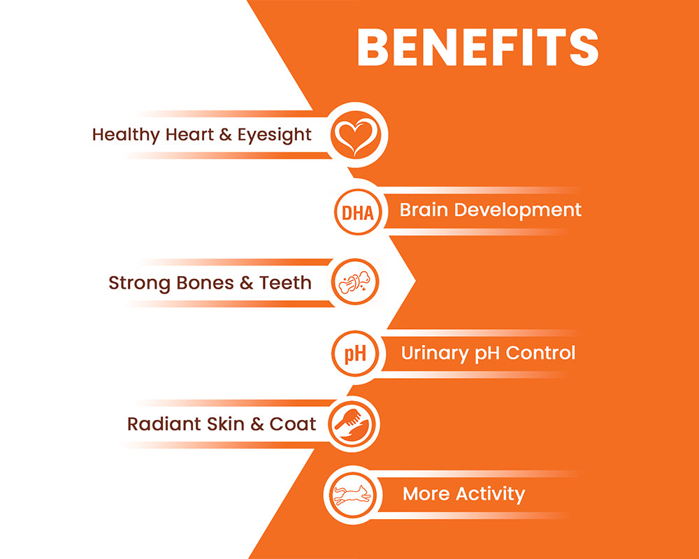List of health benefits on an orange background