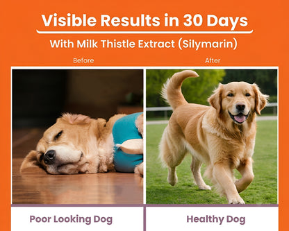 LICKICIOUS Liver Care Syrup with Milk Thistle Extract (Silymarin) Advanced Formula for Liver Support & Liver Detoxification for Dogs & Cat, Chicken Flavour Syrup
