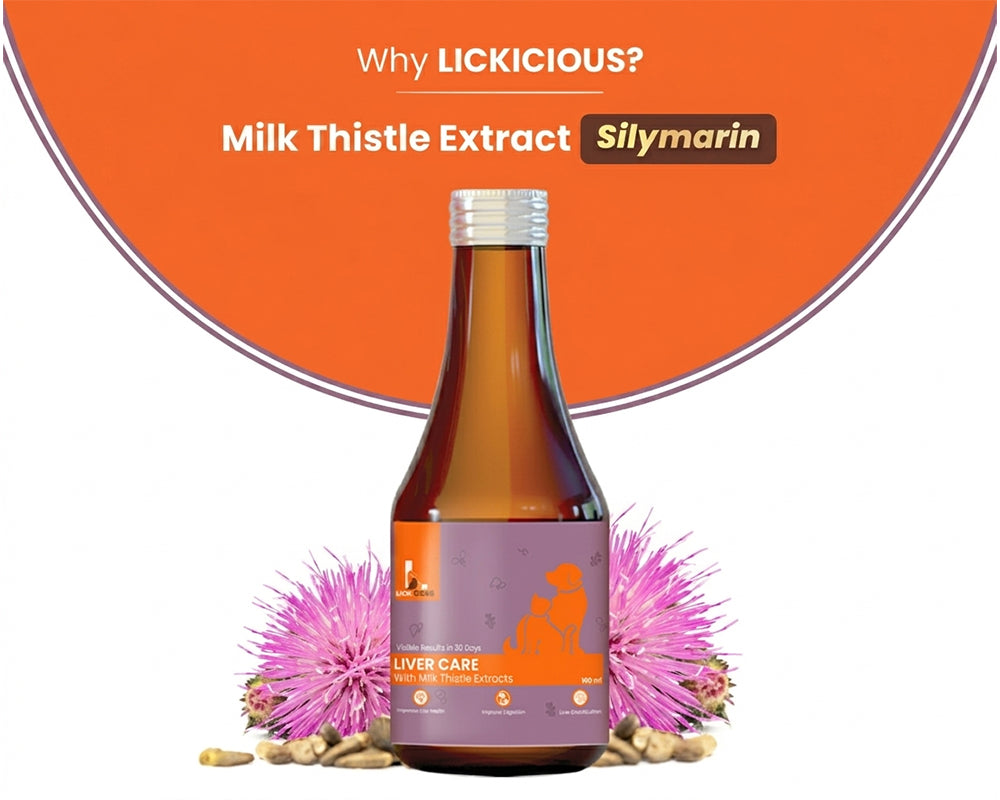 LICKICIOUS Liver Care Syrup