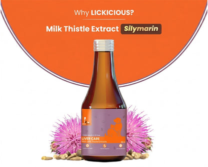 LICKICIOUS Liver Care Syrup with Milk Thistle Extract (Silymarin) Advanced Formula for Liver Support & Liver Detoxification for Dogs & Cat, Chicken Flavour Syrup