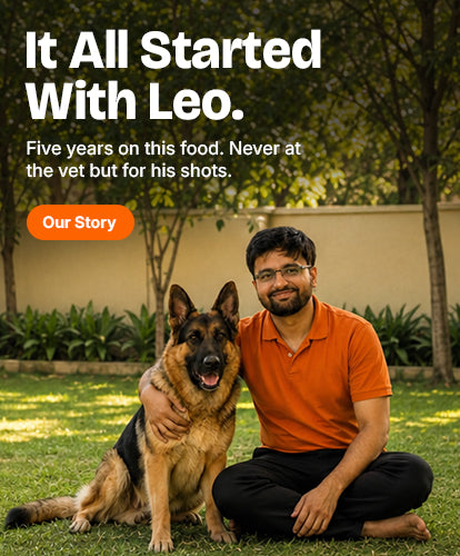 Mobile Slider Image