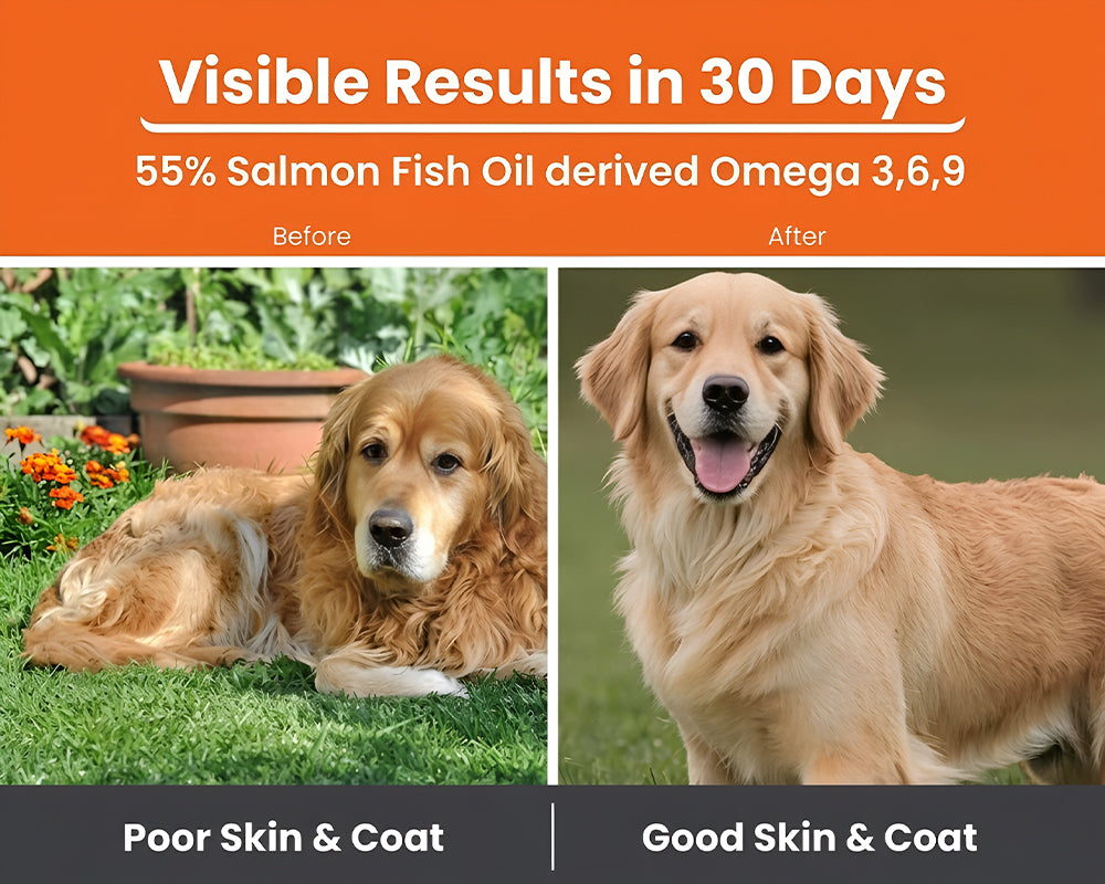 Lickicious Omega Skin & Coat Syrup showing glossy coat results