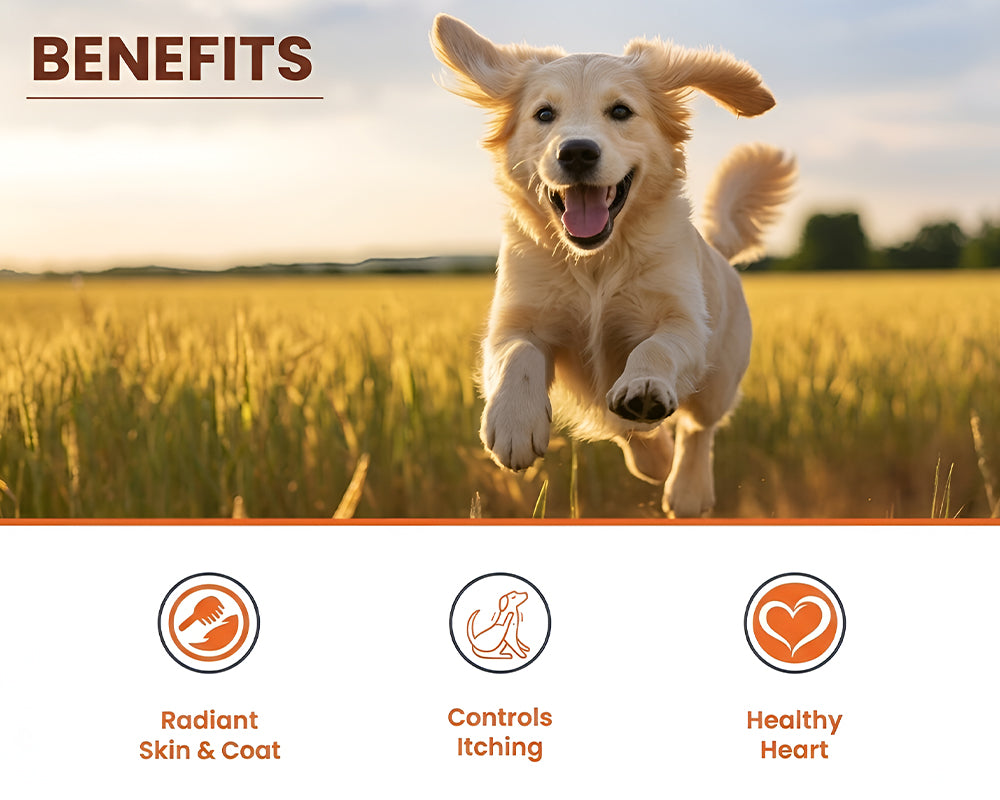 Dog running in a field with benefits listed below.