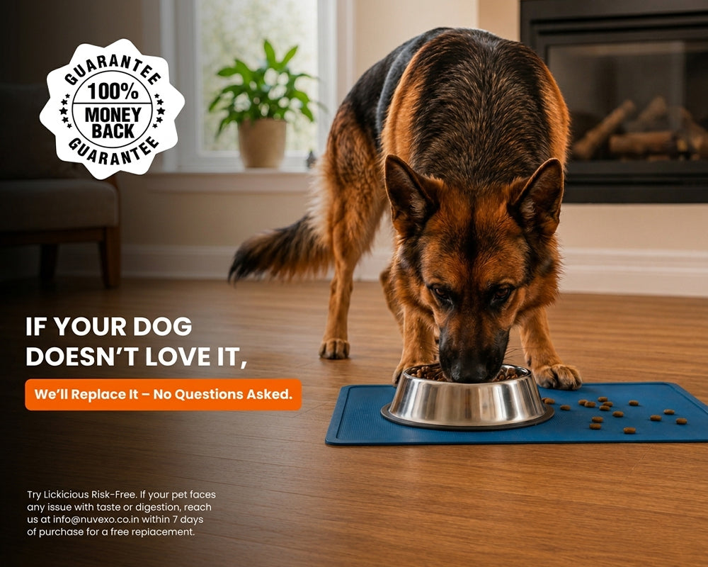 LICKICIOUS Optima Dry Dog Food Adult | Chicken & Vegetable | Complete and Balanced Optimum Nutrition for Pedigree Dogs | Great Taste & Easy Digestion