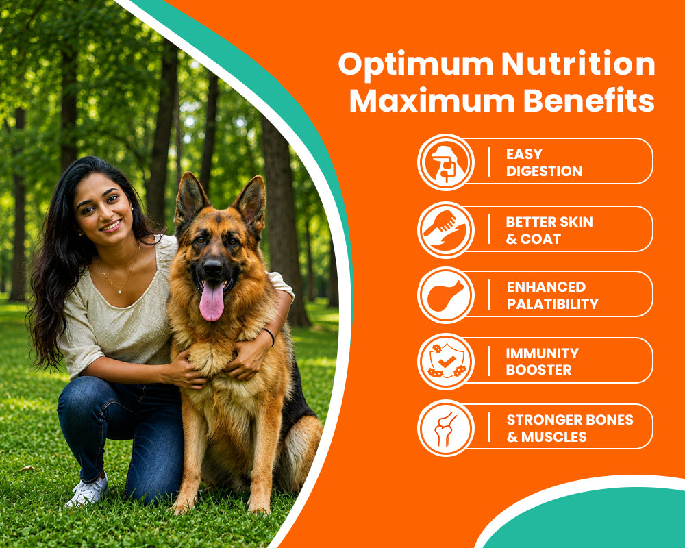 LICKICIOUS Optima Dry Dog Food Adult | Chicken & Vegetable | Complete and Balanced Optimum Nutrition for Pedigree Dogs | Great Taste & Easy Digestion
