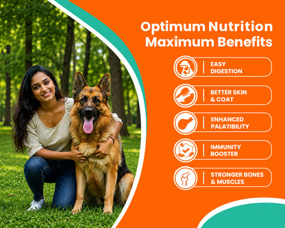 LICKICIOUS Optima Dry Dog Food Adult | Chicken & Vegetable | Complete and Balanced Optimum Nutrition for Pedigree Dogs | Great Taste & Easy Digestion