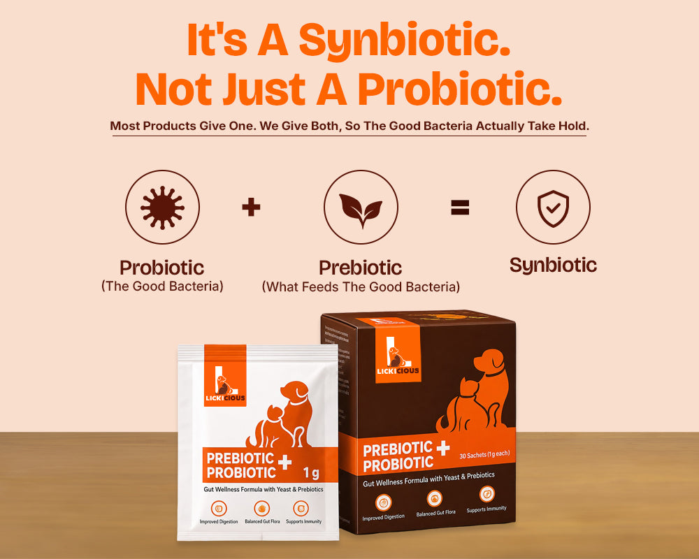 Lickicious Prebiotic + Probiotic sachet and box showing synbiotic formula for gut wellness