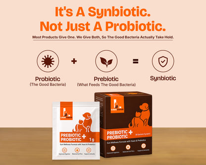 LICKICIOUS Pre & Probiotics Sachets for Dogs & Cats