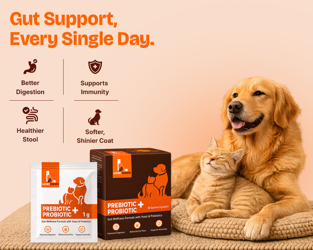 A golden retriever and an orange tabby cat sit together on a beige cushion against a peach background, with a box and a small pouch of PREBIOTIC + PROBIOTIC pet supplement shown in the foreground. Orange marketing text at the top reads 'Gut Support, Every Single Day.