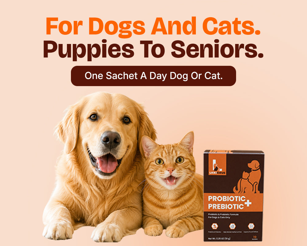 A golden retriever and an orange tabby cat sit together next to a box of Probiotic+ Prebiotic dog and cat supplement on a light peach background. The text at the top reads 'For Dogs And Cats.