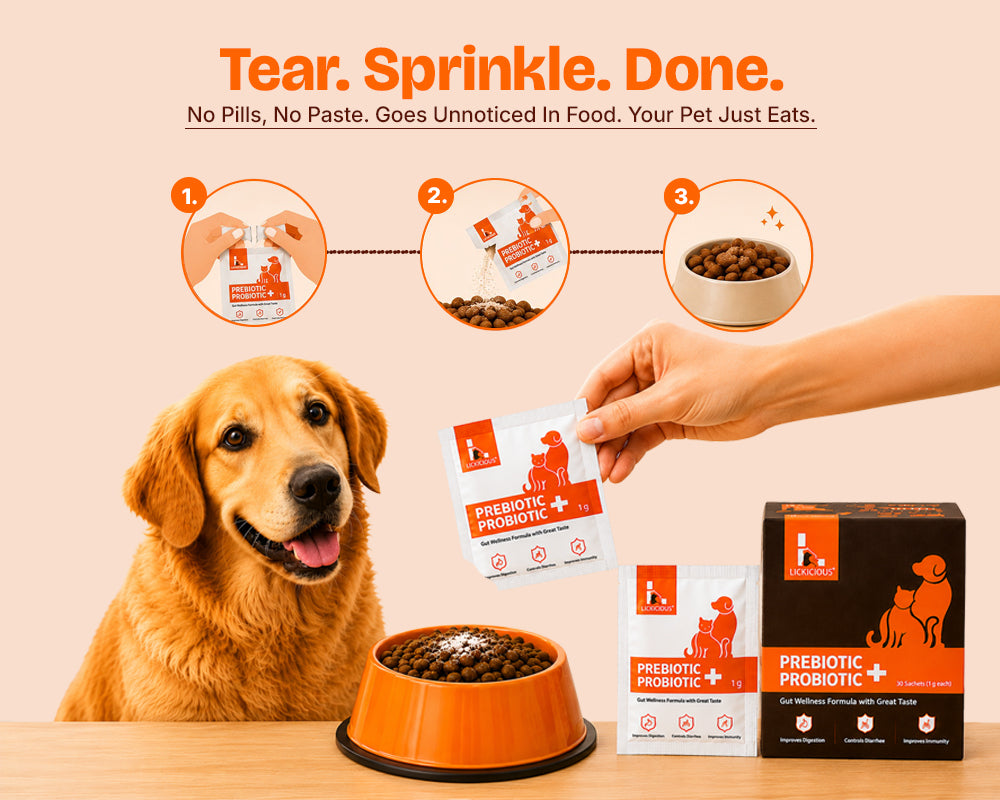 A golden retriever sits beside an orange pet bowl on a light wood surface, with a human hand holding a packet of prebiotic probiotic pet supplement. The scene includes a product box, two supplement packets, an orange bowl, kibble in a bowl, and three-step application graphics above.