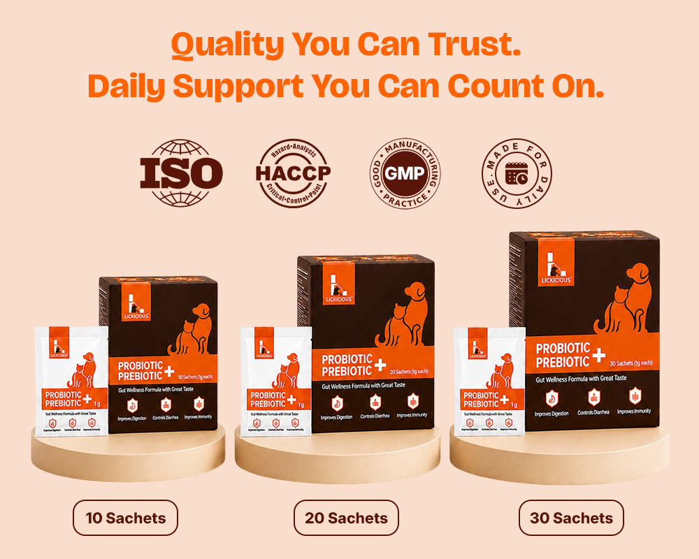 Three boxes of Loyal Pets Probiotic Prebiotic + Gut Health Support in 10, 20, and 30 sachet sizes, displayed on wooden pedestals against a light peach background with ISO, HACCP, GMP, and Made in Nepal certification logos above.