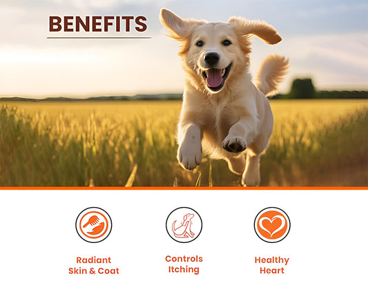 LICKICIOUS Skin and Coat Syrup with 55% Salmon Oil Omega 3-6-9 for Dogs & Cats (Copy For Testing)