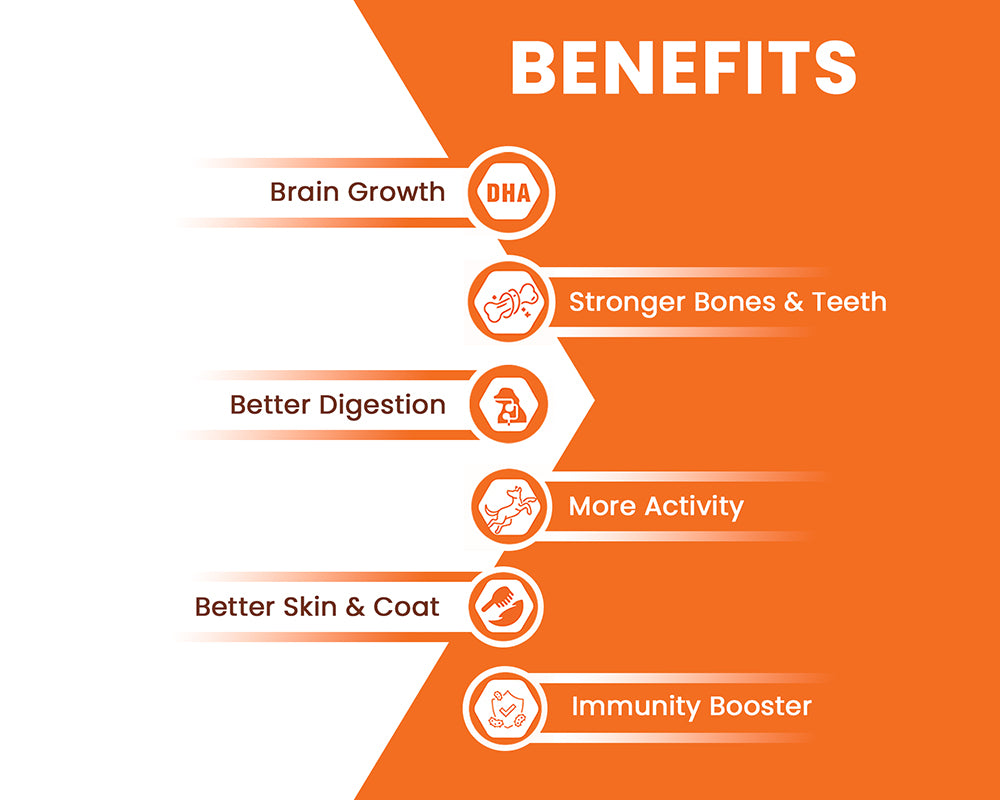 LICKICIOUS Puppy Food with 30% Protein, 15% Fat for Healthy Growth