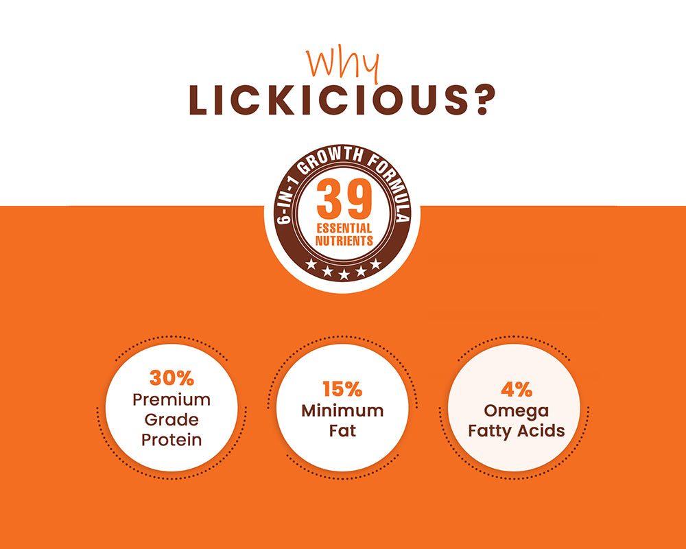 LICKICIOUS Puppy Food with 30% Protein, 15% Fat for Healthy Growth