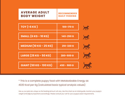 LICKICIOUS Puppy Food with 30% Protein, 15% Fat for Healthy Growth
