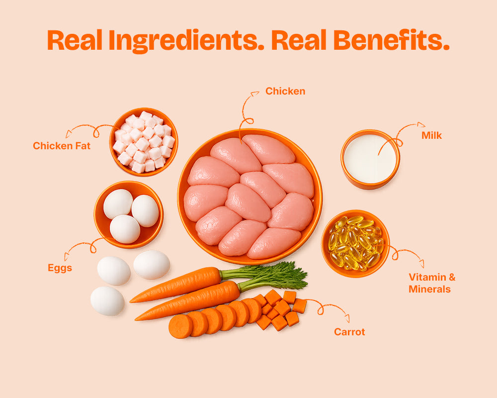 Real ingredients used in Lickicious Puppy Food laid out: chicken, eggs, milk, carrots, chicken fat and vitamins