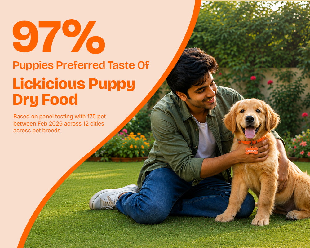Lickicious Puppy Dry Dog Food taste-test graphic showing 97% of puppies preferred it over their regular food