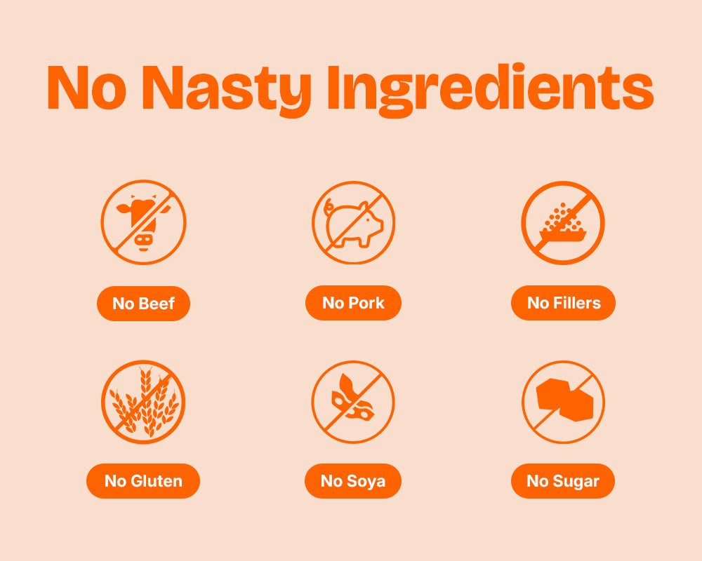 Lickicious Puppy Food ingredient callouts confirming no beef, pork, fillers, gluten, soya or sugar