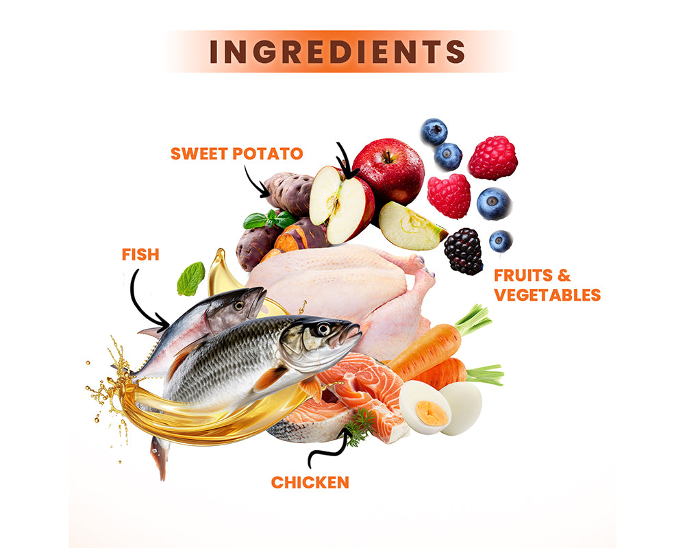 Illustration of food ingredients including sweet potato, fish, chicken, fruits, and vegetables on a white background.