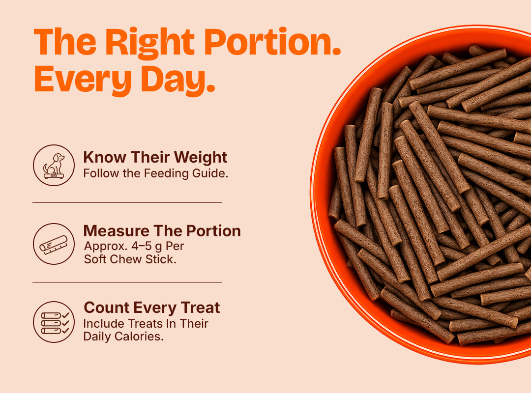 LICKICIOUS Nutritional Treats for Skin & Coat
