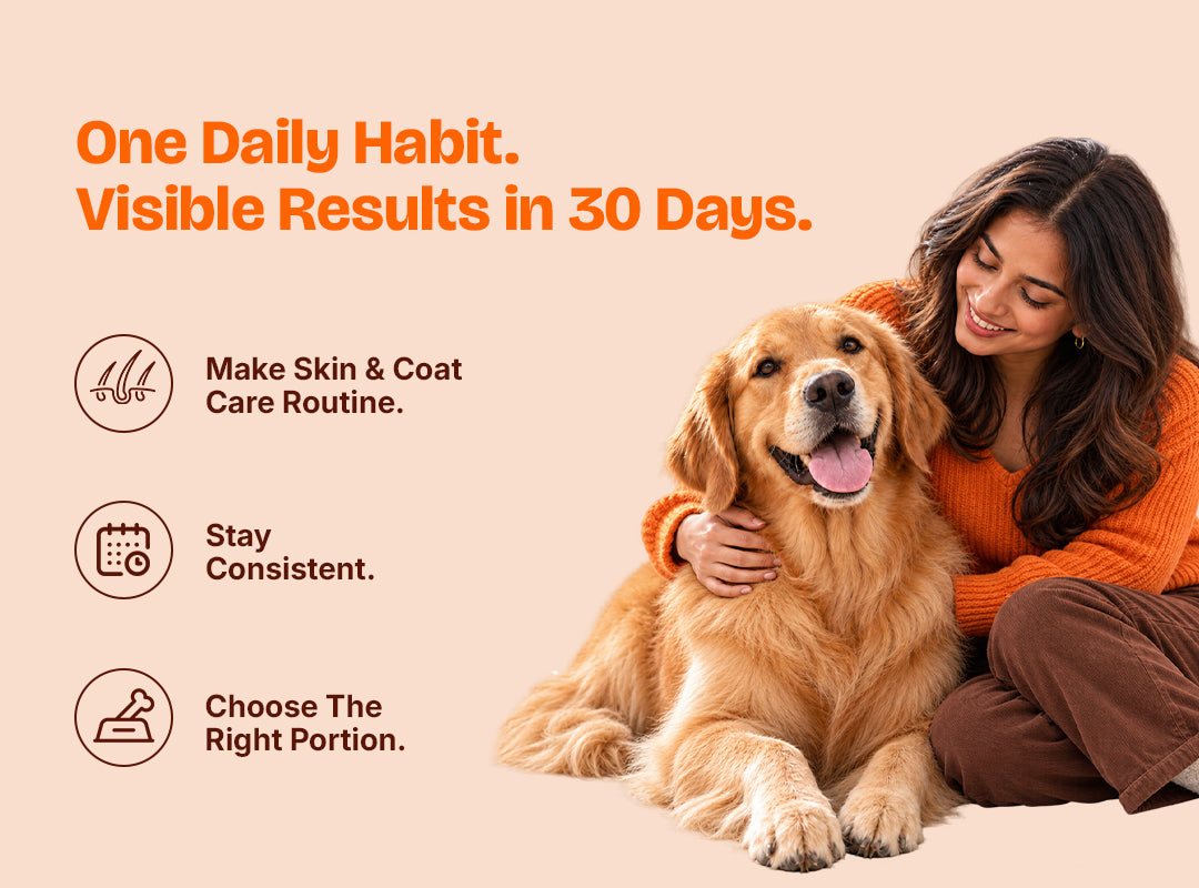 LICKICIOUS Nutritional Treats for Skin & Coat