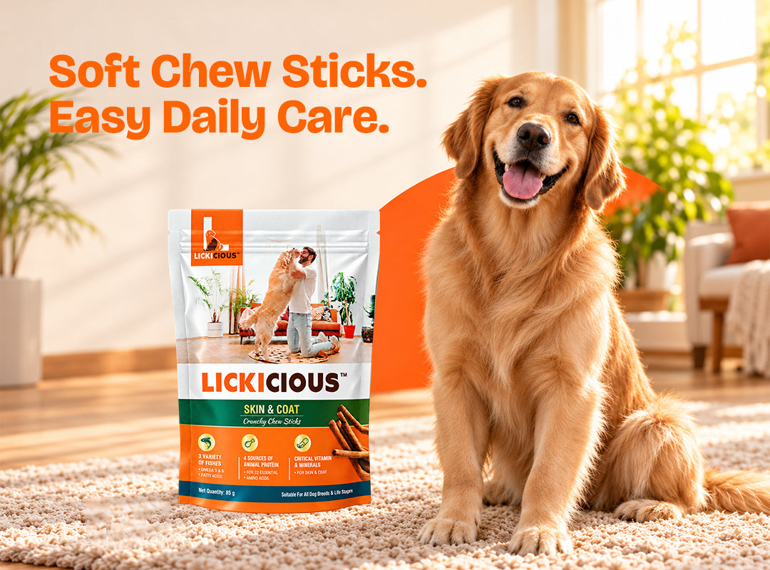 LICKICIOUS Nutritional Treats for Skin & Coat