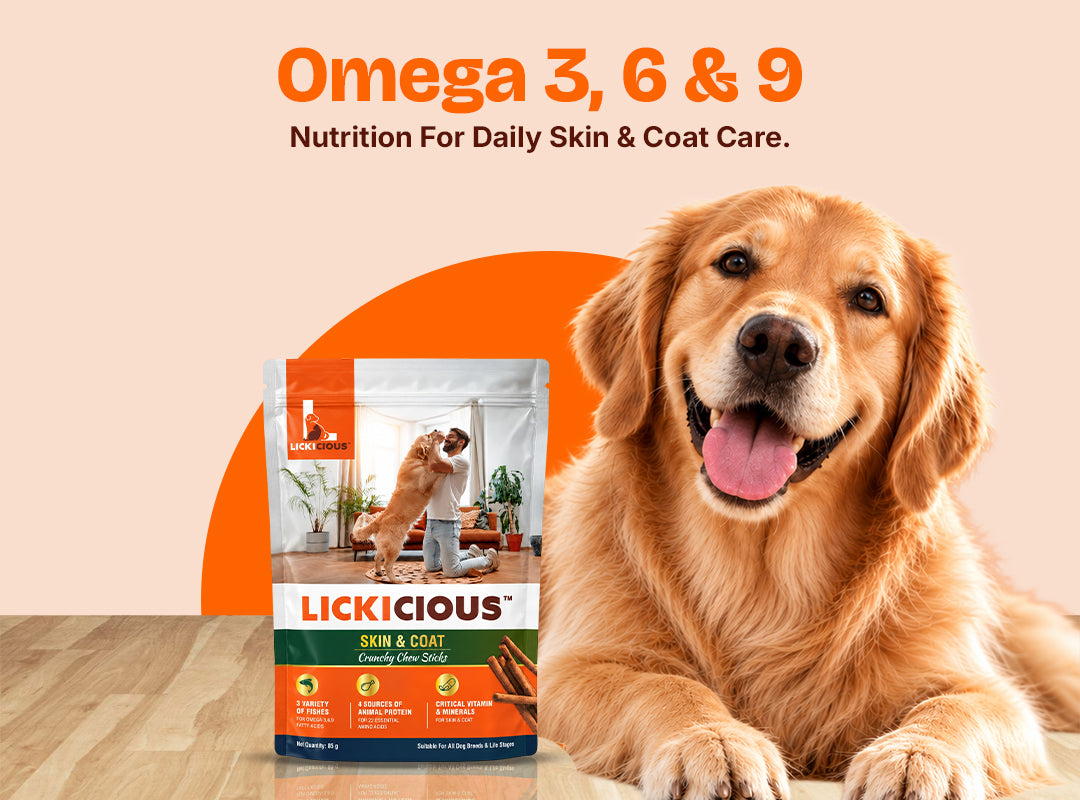 LICKICIOUS Nutritional Treats for Skin & Coat