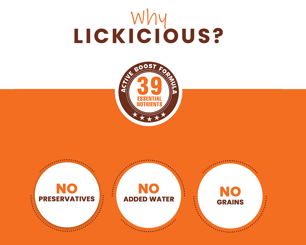 Promotional graphic for Lickicious product highlighting active boost formula, essential nutrients, no preservatives, no added water, and no grains.